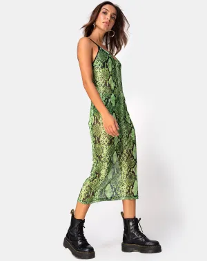 Midnight Midi Dress in Slime Lime Snake Mesh