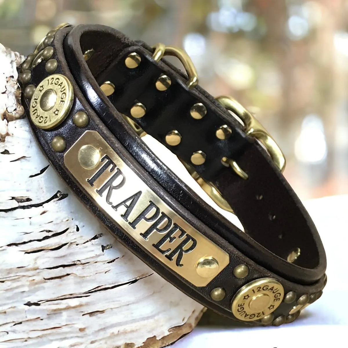 Personalized Leather Dog Collar Legend